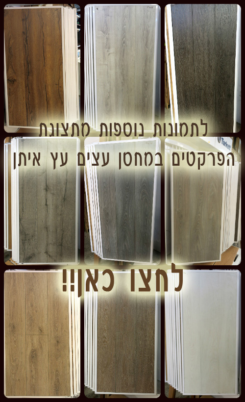 תמונות מהמחסן